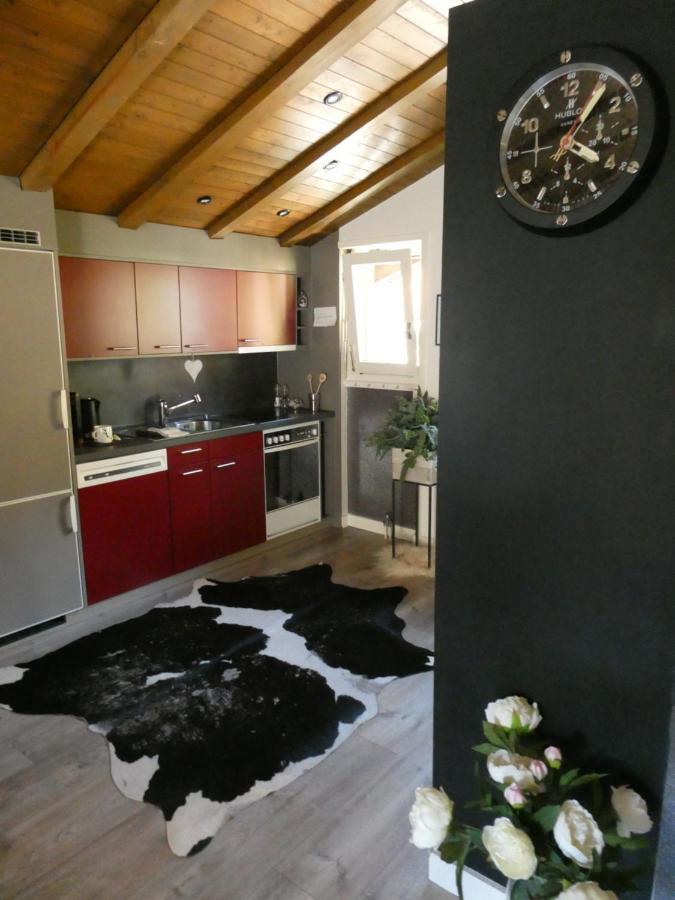 Zermatt Rental Venus Exteriör bild